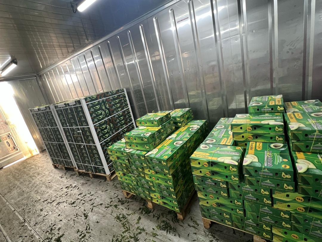 Avocado Consignment