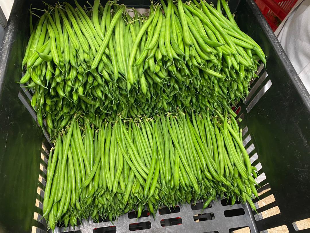 beans3