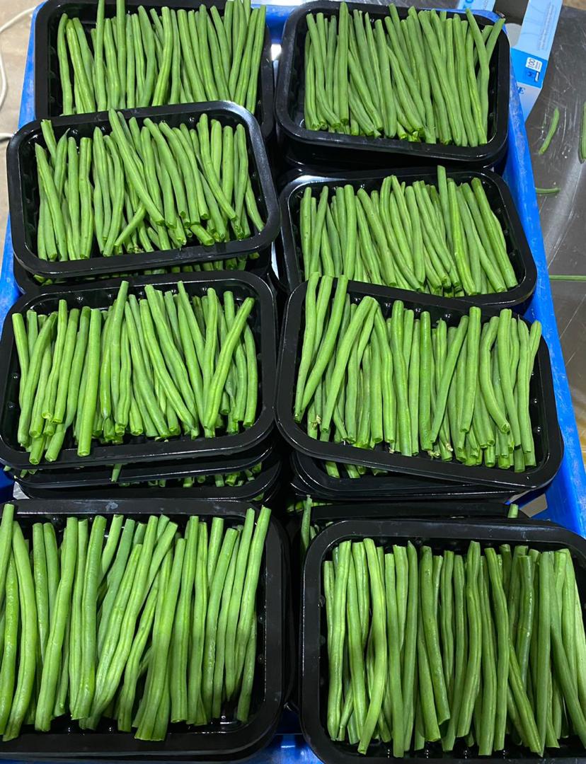 beans4