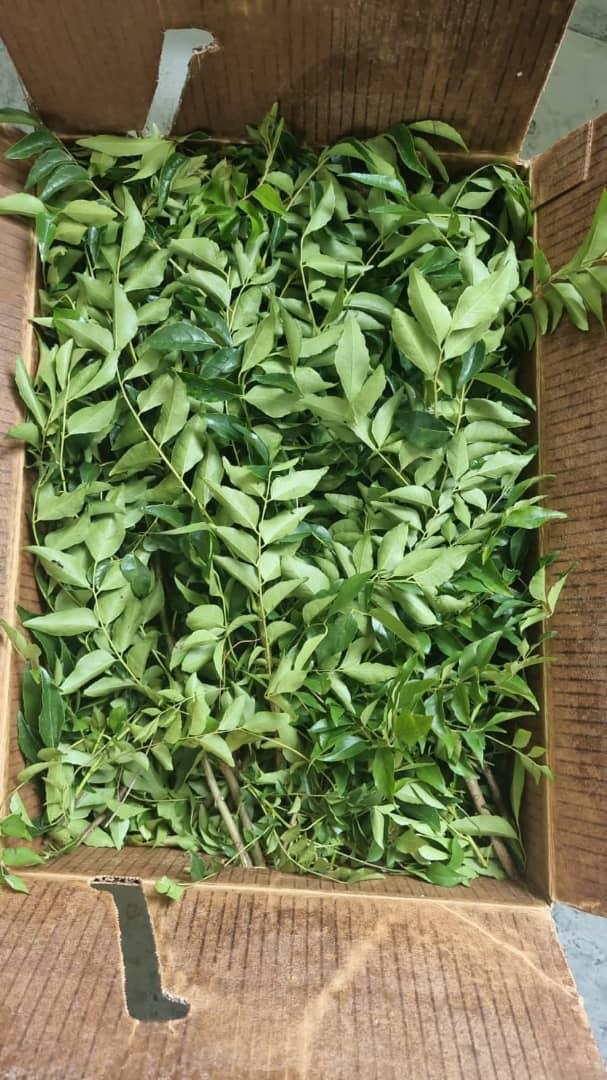 herbs-leaves