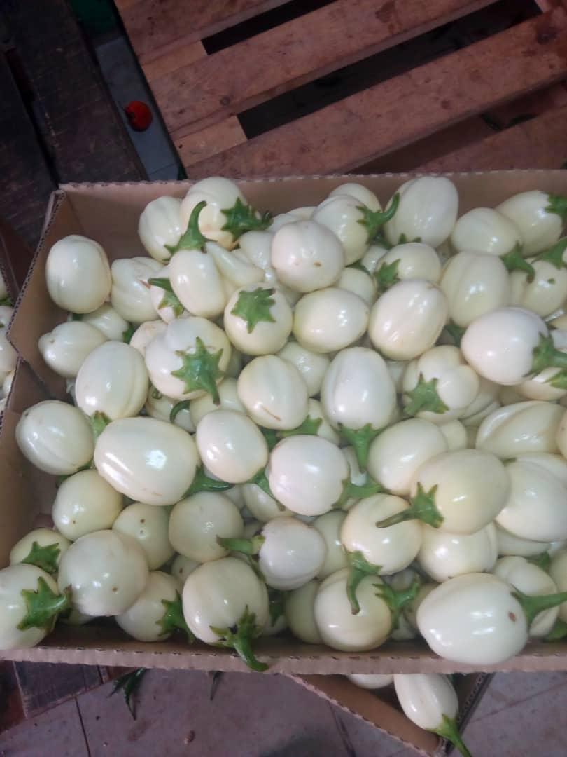 eggplant