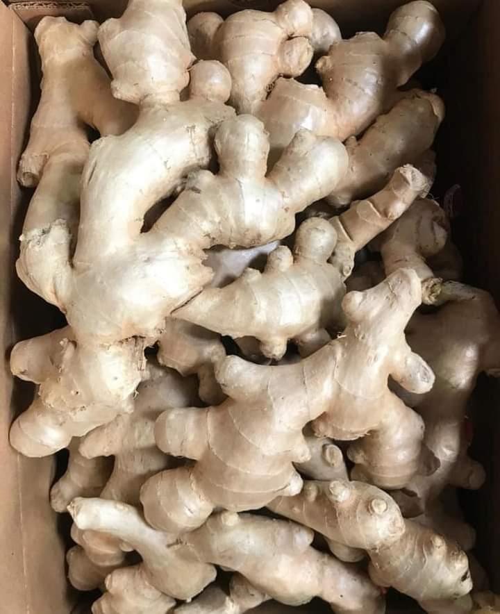 ginger