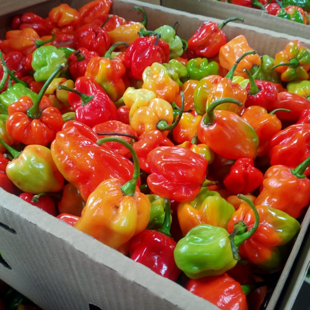habanero-gallery