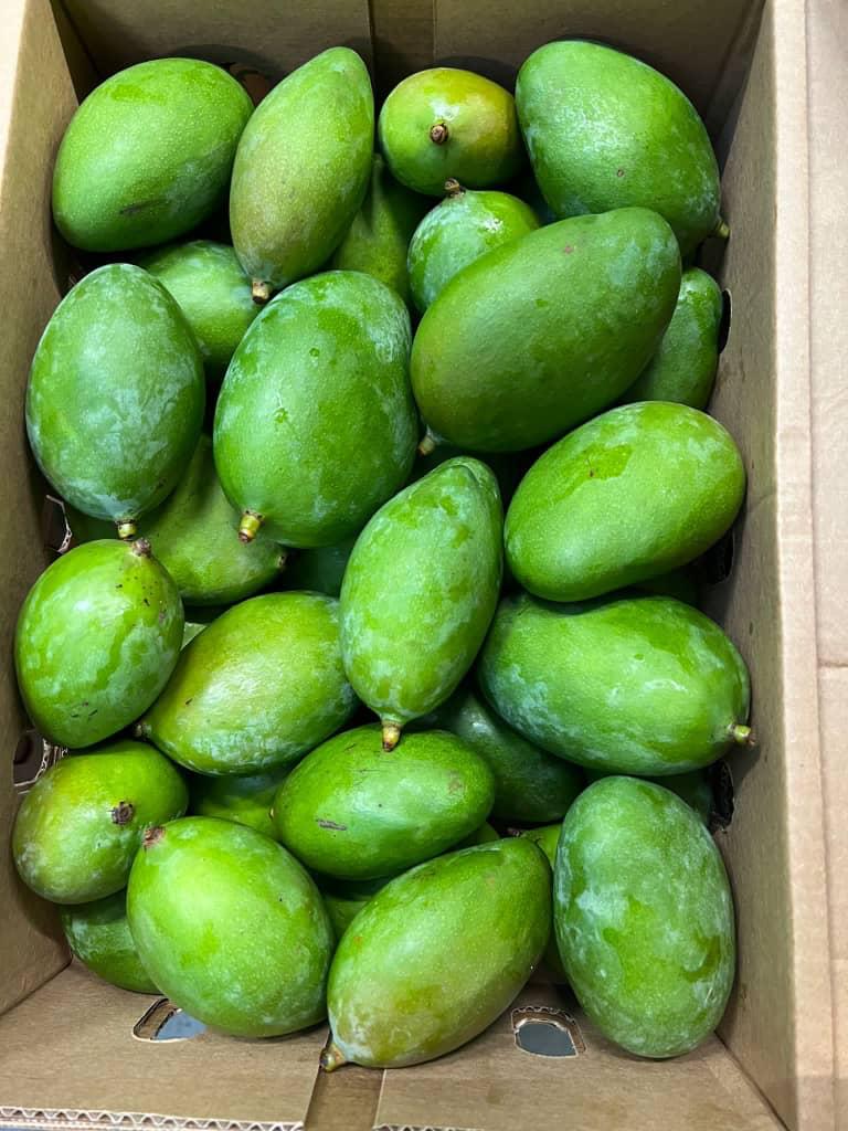 mangoes