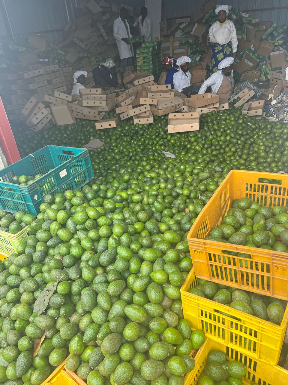 package-sorting