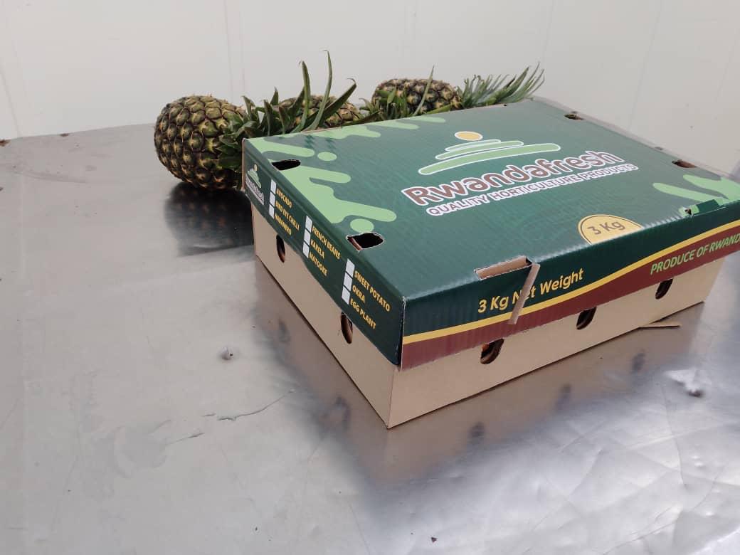 pineapple-gallery