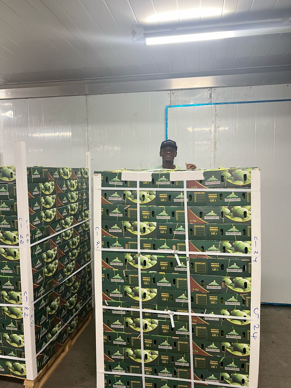 ready-shipment